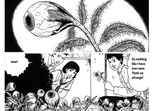 Illustration for article titled Junji Ito Collection Ep. 10 & 11 – A fan’s review